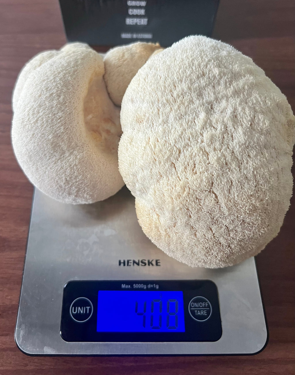 Lion’s Paw grow kit