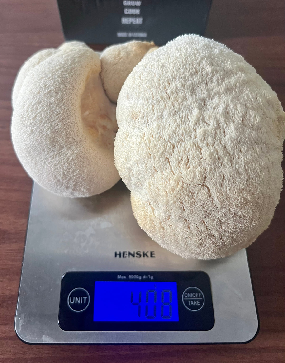 Lion’s Paw grow kit