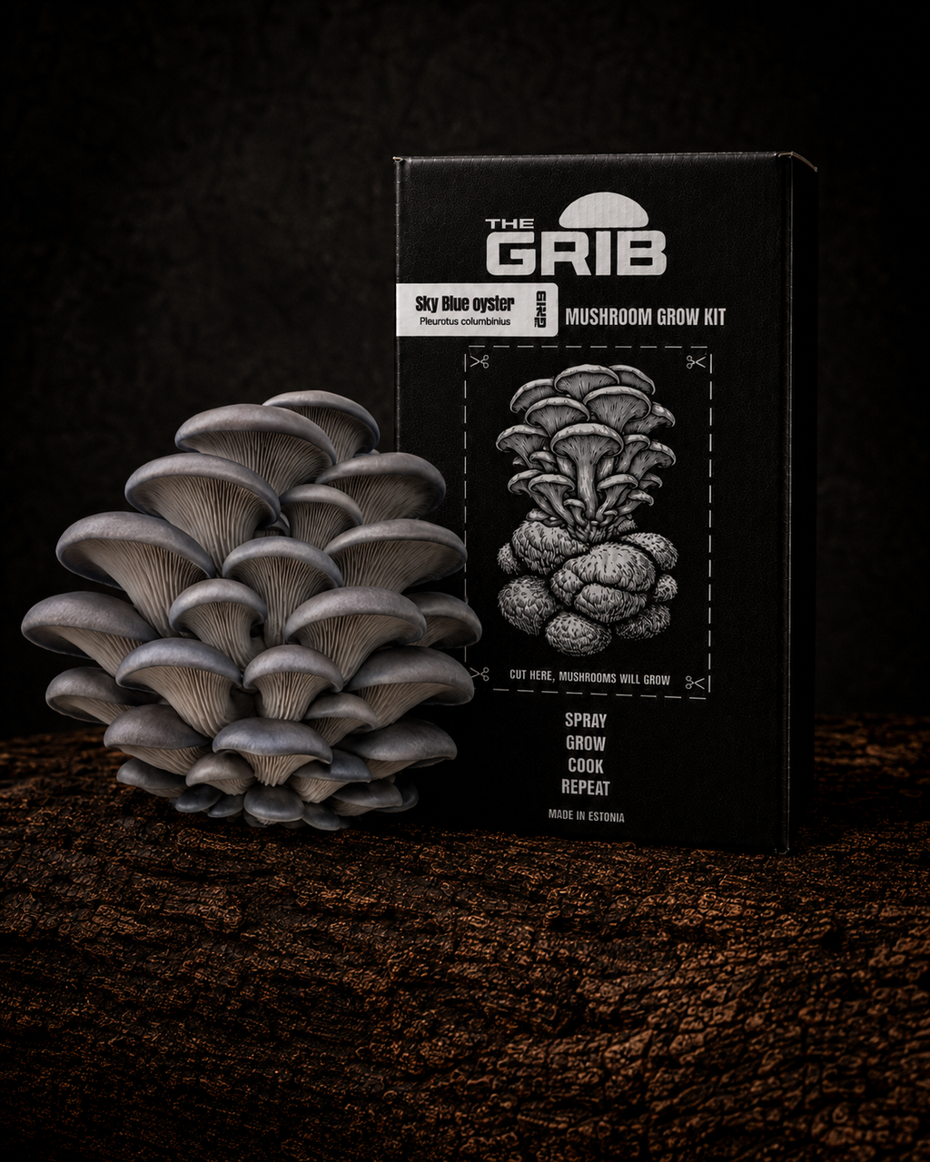 Sky Blue Oyster grow kit