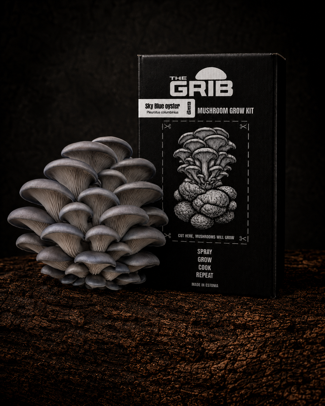 Sky Blue Oyster grow kit