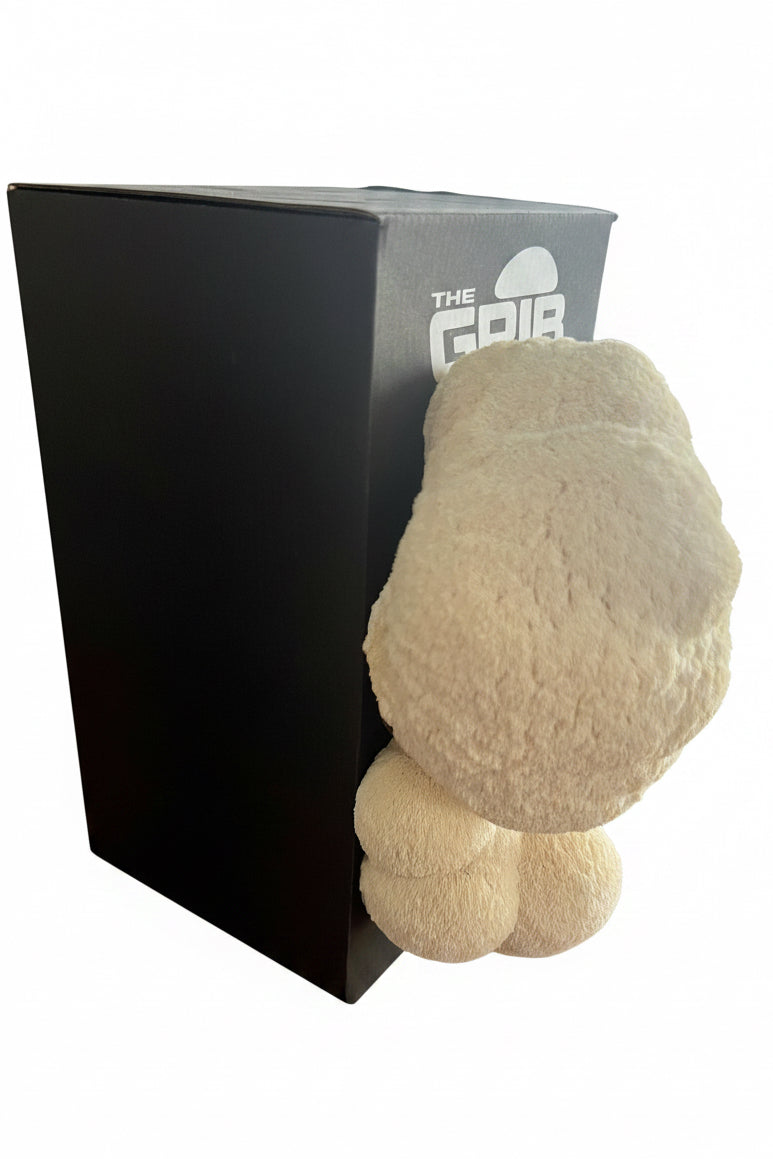 Lion’s Paw grow kit