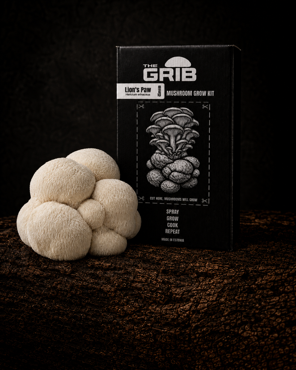 Lion’s Paw grow kit
