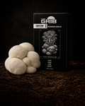 Lion’s Paw grow kit