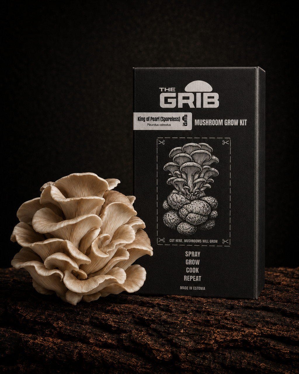 King of Pearl (Sporeless) Oyster mushroom grow kit