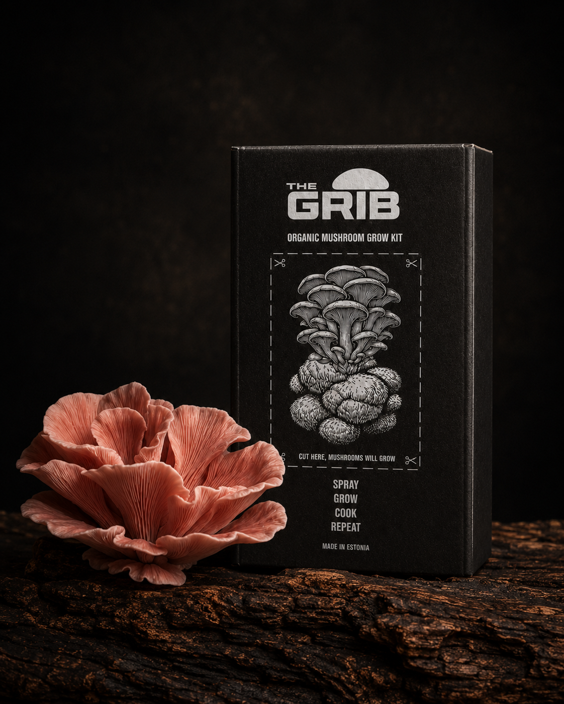 Sakura Oyster grow kit