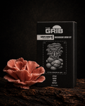 Sakura Oyster grow kit